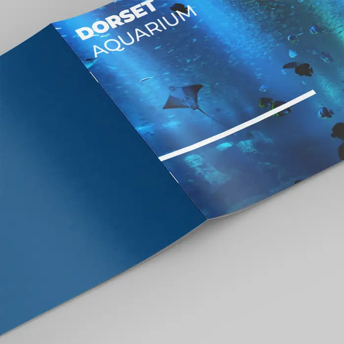 Saddle Stitched - Square - SPINE